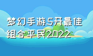 梦幻手游5开最佳组合平民2022