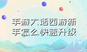 手游大话西游新手怎么快速升级（手游大话西游新手怎么快速升级等级）