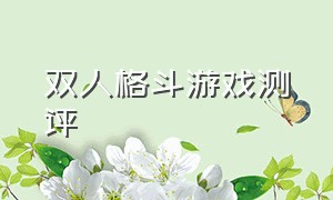 双人格斗游戏测评（双人格斗游戏测评怎么玩）