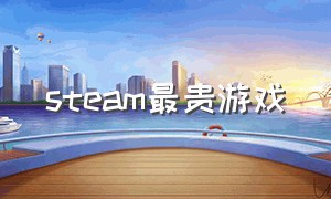 steam最贵游戏