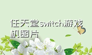 任天堂switch游戏机图片