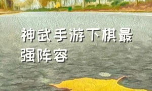 神武手游下棋最强阵容