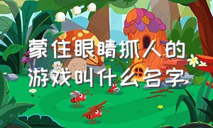 蒙住眼睛抓人的游戏叫什么名字