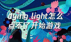 dying light怎么点不了开始游戏