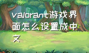 valorant游戏界面怎么设置成中文