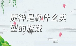 原神是种什么类型的游戏