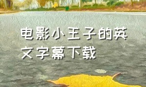 电影小王子的英文字幕下载