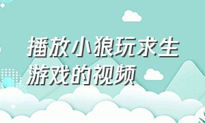 播放小狼玩求生游戏的视频