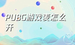 PUBG游戏麦怎么开