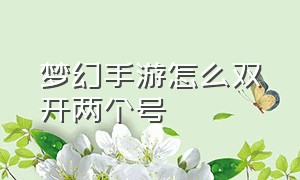 梦幻手游怎么双开两个号