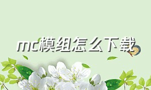 mc模组怎么下载（mc模组如何下载）