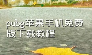 pubg苹果手机免费版下载教程