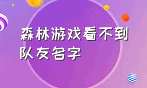 森林游戏看不到队友名字