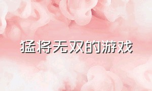 猛将无双的游戏（猛将无双的游戏叫什么）