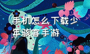 手机怎么下载少年骇客手游（苹果手机怎么下载少年骇客游戏）