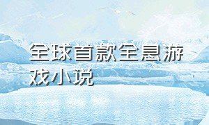 全球首款全息游戏小说（关于虚拟真实游戏的小说）