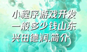 小程序游戏开发一般多少钱山东兴田德润.简介（小程序小游戏开发）