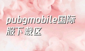 pubgmobile国际服下载区（pubg mobile国际服官网下载入口）