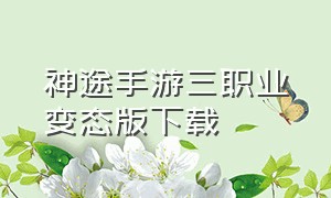 神途手游三职业变态版下载