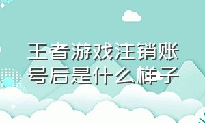 王者游戏注销账号后是什么样子