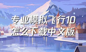 专业模拟飞行10怎么下载中文版