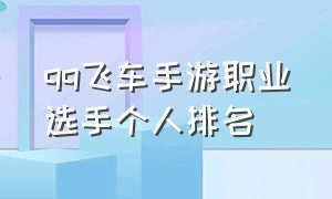 qq飞车手游职业选手个人排名