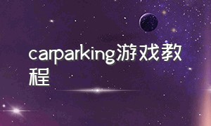 carparking游戏教程