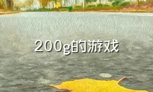 200g的游戏