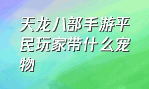 天龙八部手游平民玩家带什么宠物