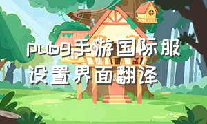 pubg手游国际服设置界面翻译