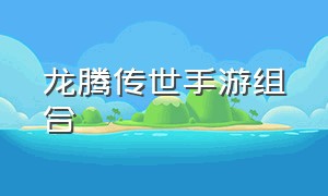 龙腾传世手游组合（龙腾传世手游官方版）