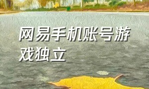 网易手机账号游戏独立（网易手机账号游戏独立登录）