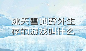 冰天雪地野外生存的游戏叫什么