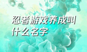 忍者游戏养成叫什么名字