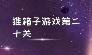 推箱子游戏第二十关