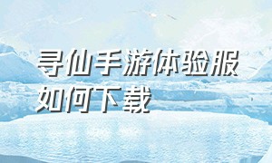 寻仙手游体验服如何下载（寻仙手游官网）