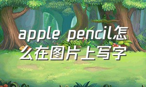 apple pencil怎么在图片上写字