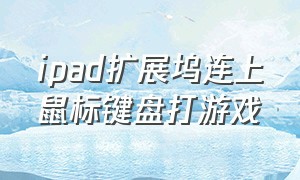 ipad扩展坞连上鼠标键盘打游戏