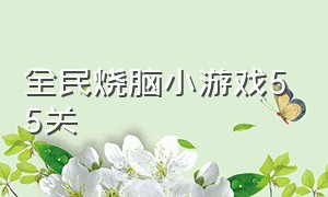 全民烧脑小游戏55关