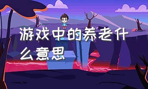 游戏中的养老什么意思