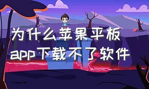 为什么苹果平板app下载不了软件