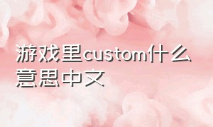 游戏里custom什么意思中文