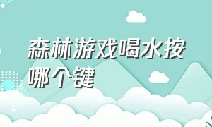 森林游戏喝水按哪个键（森林游戏怎么拿火堆上的东西）