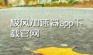 极风加速器app下载官网（极风加速器安卓下载最新版）