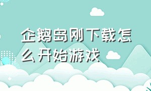 企鹅岛刚下载怎么开始游戏