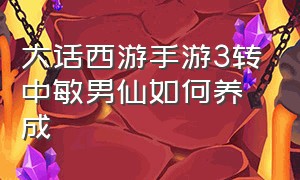 大话西游手游3转中敏男仙如何养成（大话手游三转中敏仙怎么加点）