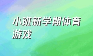 小班新学期体育游戏