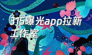 315曝光app拉新工作室