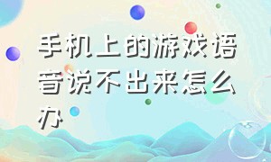 手机上的游戏语音说不出来怎么办（手机游戏不能语音）