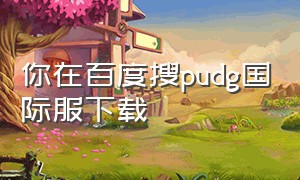 你在百度搜pudg国际服下载（pubg国际服下载免费）